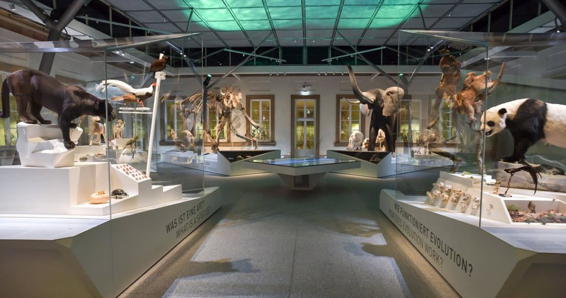 Naturkundemuseum Stuttgart, Schloss Rosenstein, Stuttgart, Germany, Germany